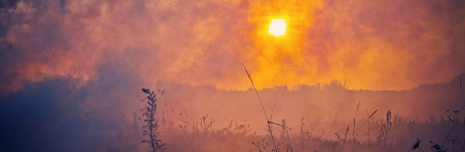 Field with hazy smoke blocking out the sun